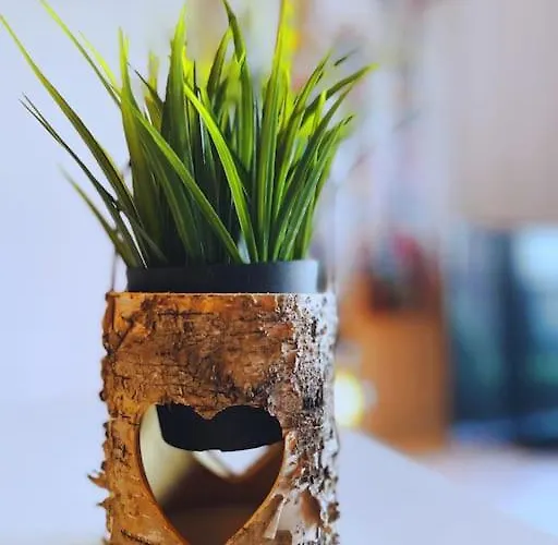 - 1 Bed - Pembroke Court * Bristol